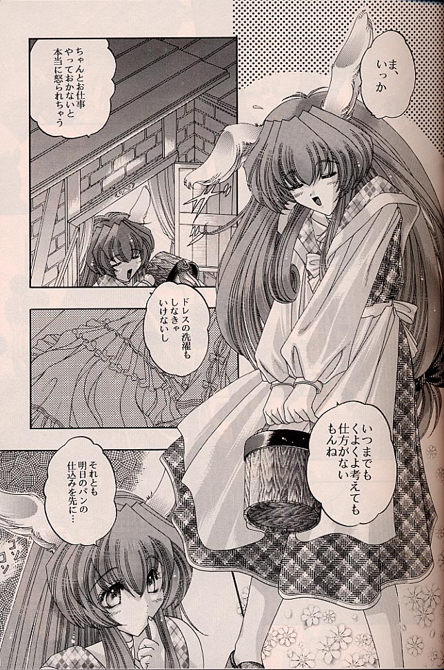 ラグドール1-4