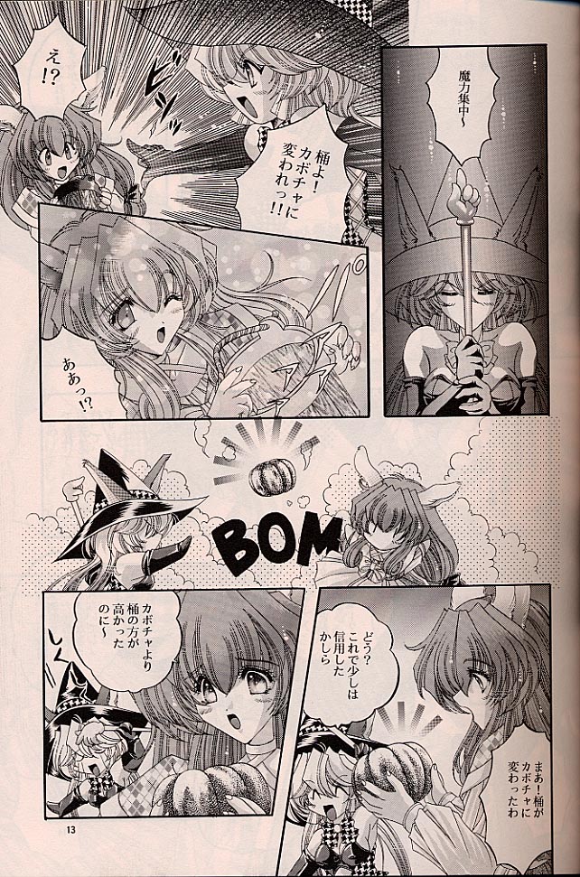 ラグドール1-4