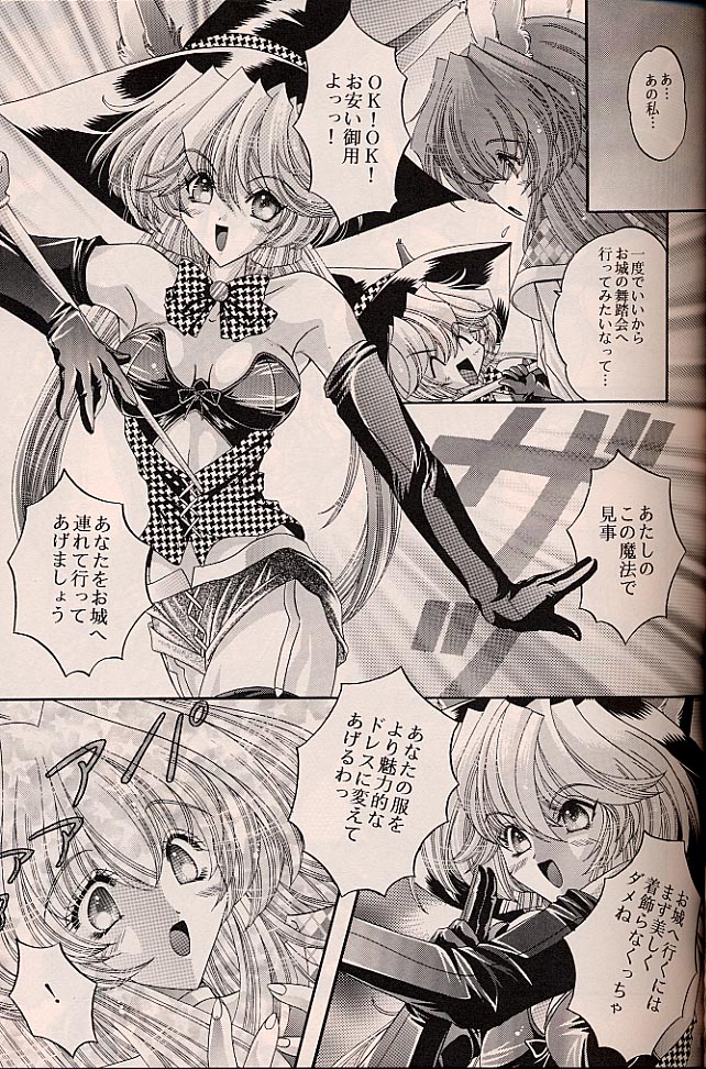 ラグドール1-4