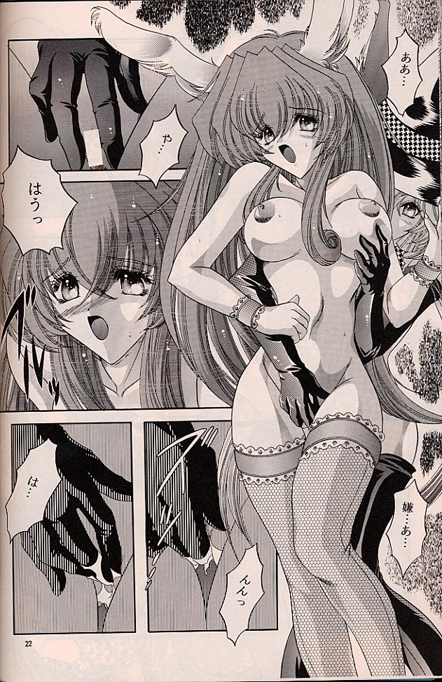 ラグドール1-4