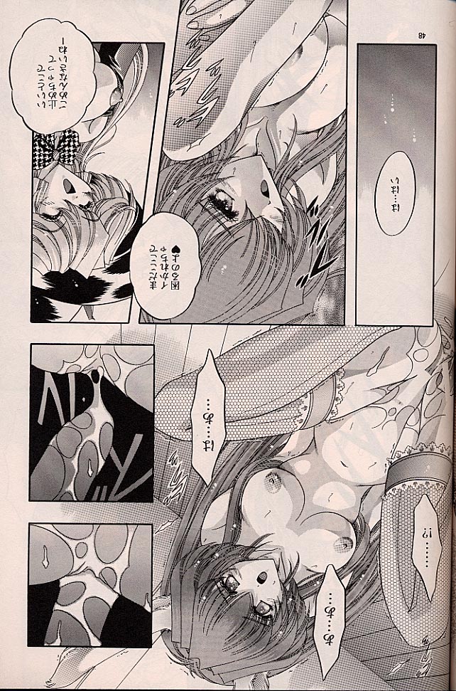 ラグドール1-4