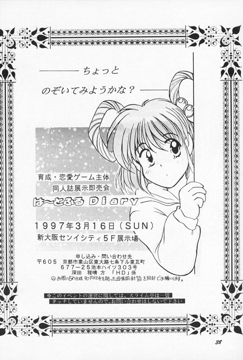 ラグドール1-4