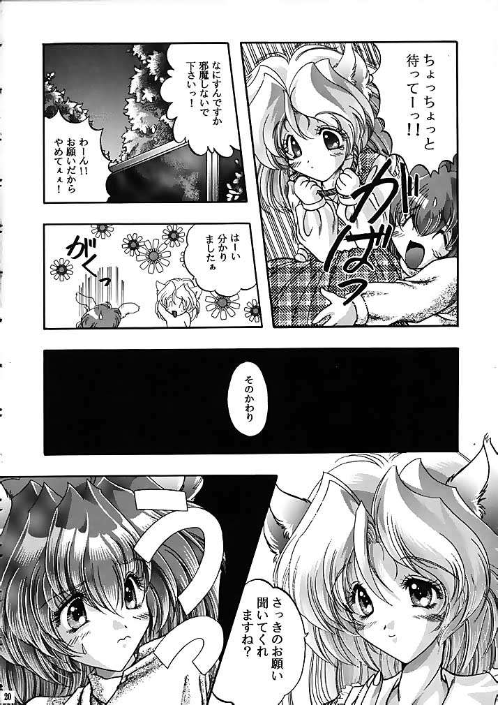 ラグドール1-4