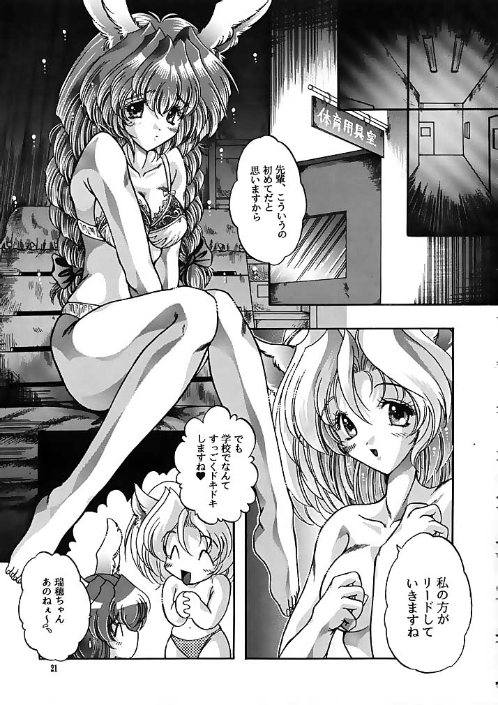 ラグドール1-4