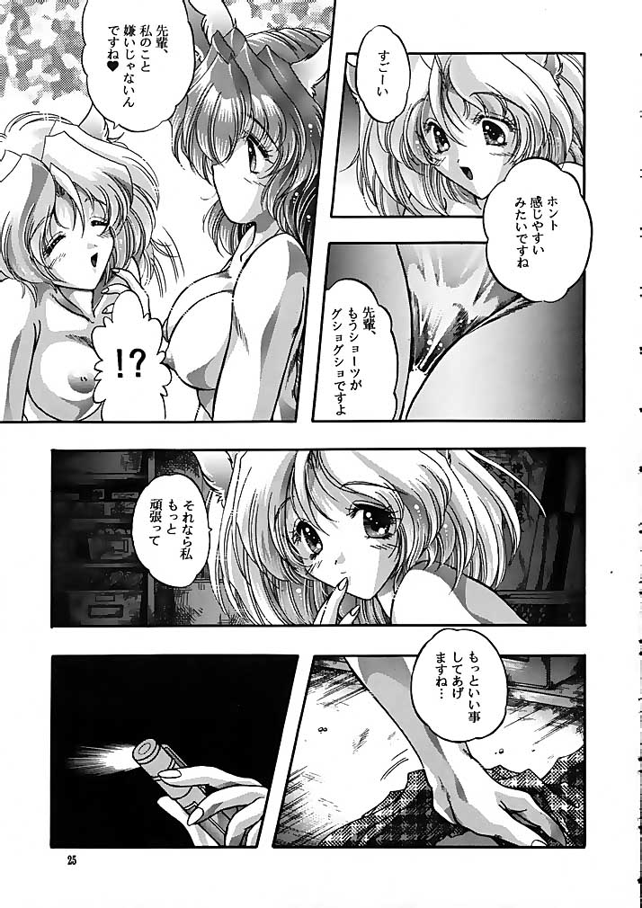 ラグドール1-4