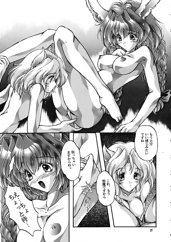 ラグドール1-4