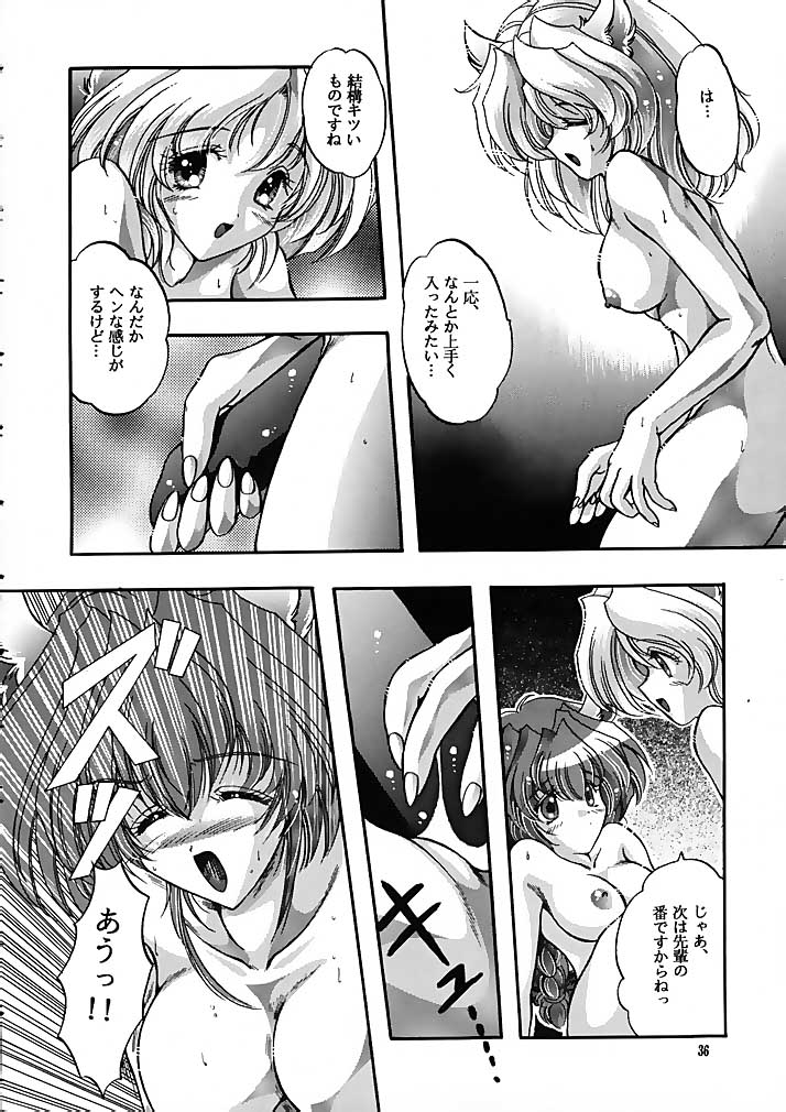 ラグドール1-4