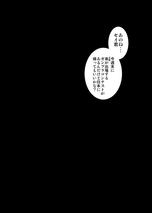 (C87) [Bitch牧場 (牧場主K)] BUILD FI○HTERS THE FACT (ガンダムビルドファイターズ)