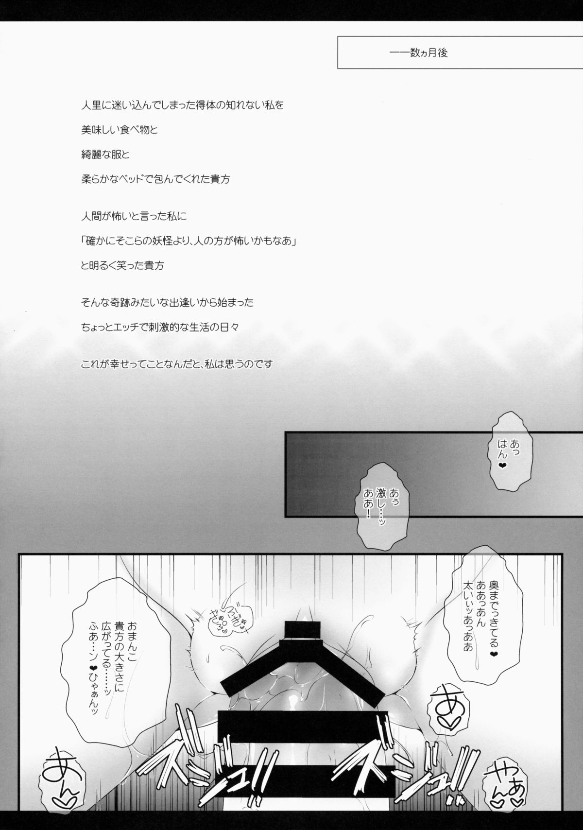 (例大祭12) [せとらん (イトウせと, タンノらん)] 俺の可愛いペットが自機復活と聞いて×××が止まらない (東方Project)