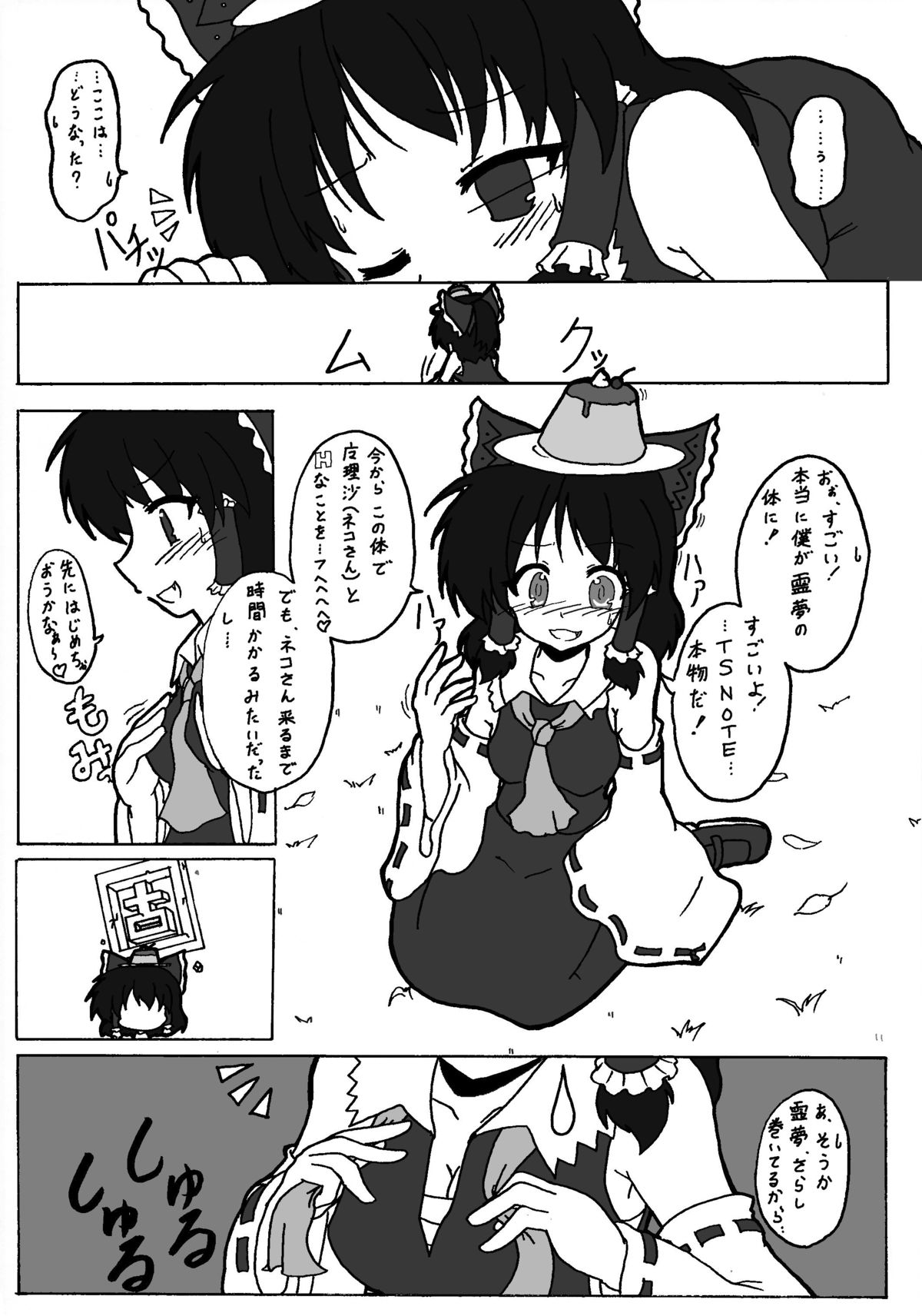 【あめしょ（三日月猫）】東方別物語番外編！！（東方Project）