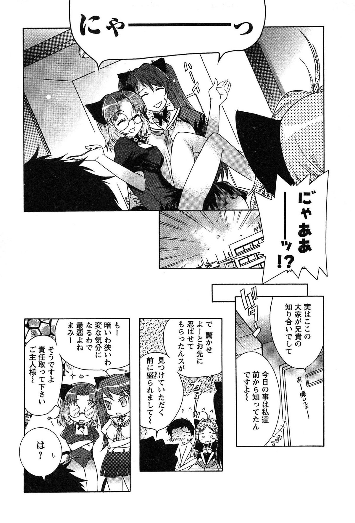 [ほんだありま] 運んでニャンコ!