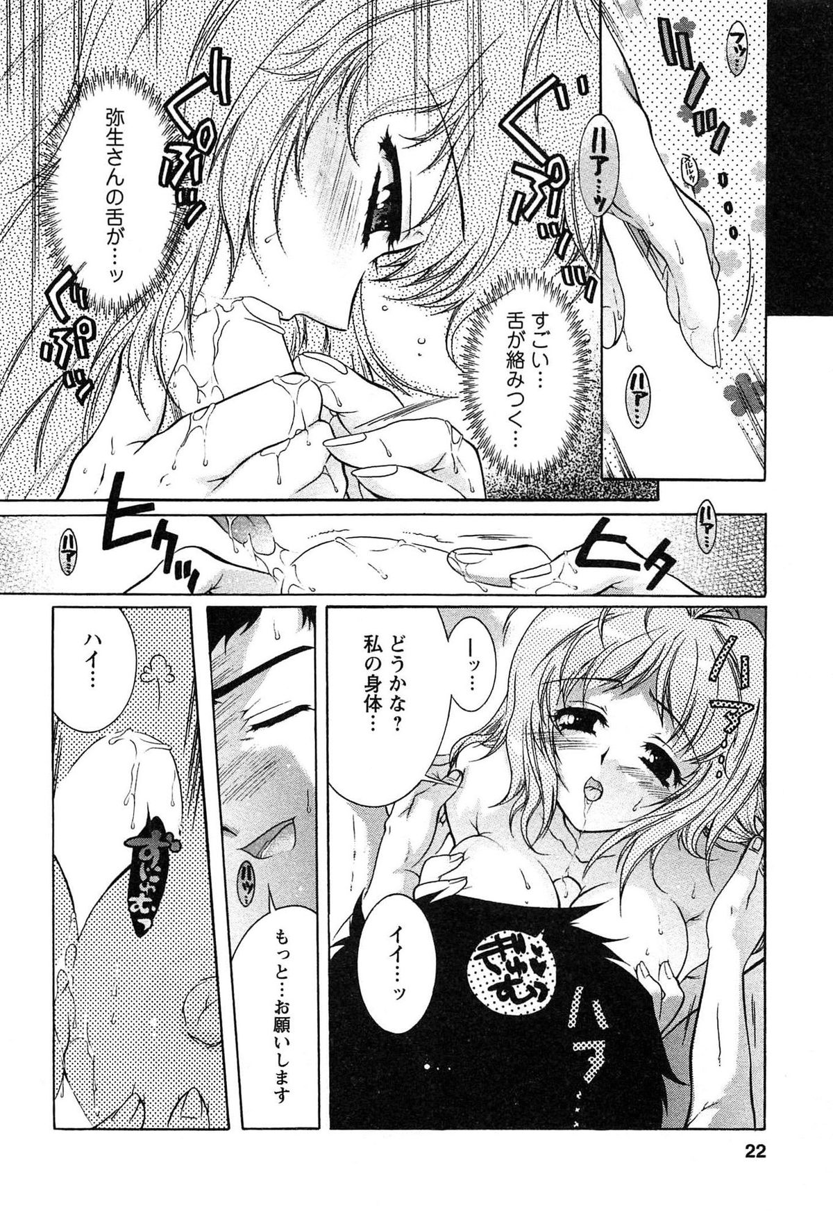 [ほんだありま] 運んでニャンコ!
