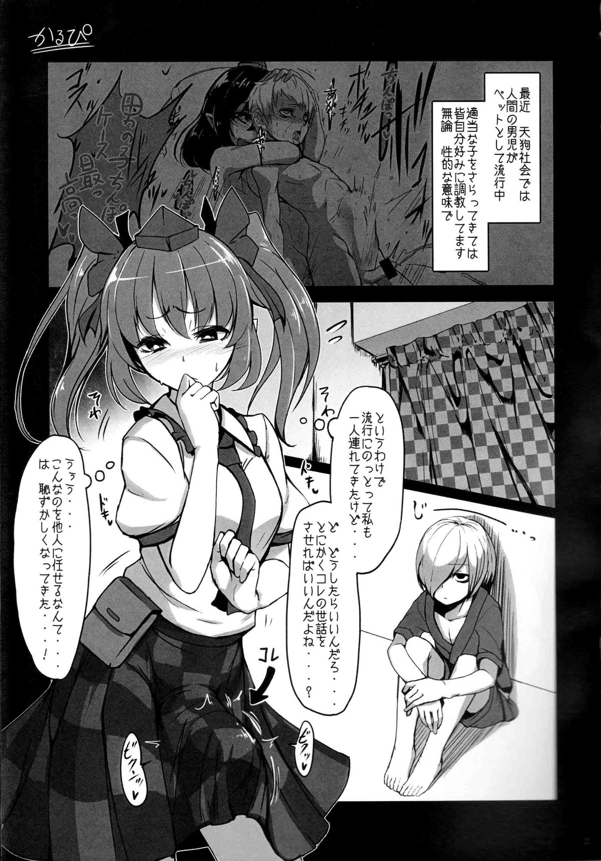(C87) [カルビさん太郎 (かるぴ、燗汰朗)] 天狗返り討ち (東方project)