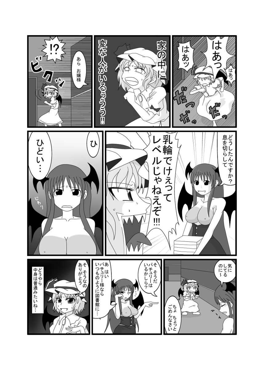 [素敵ライフ (ハンサム)] レミリア以外全員おっぱい丸出し紅魔館 (東方Project) [DL版]