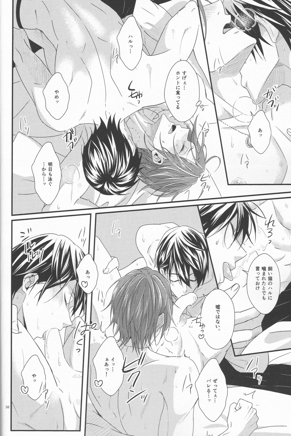 (恋愛ジョーズ4) [zatta (トモセ)] 君は知らない (Free!)