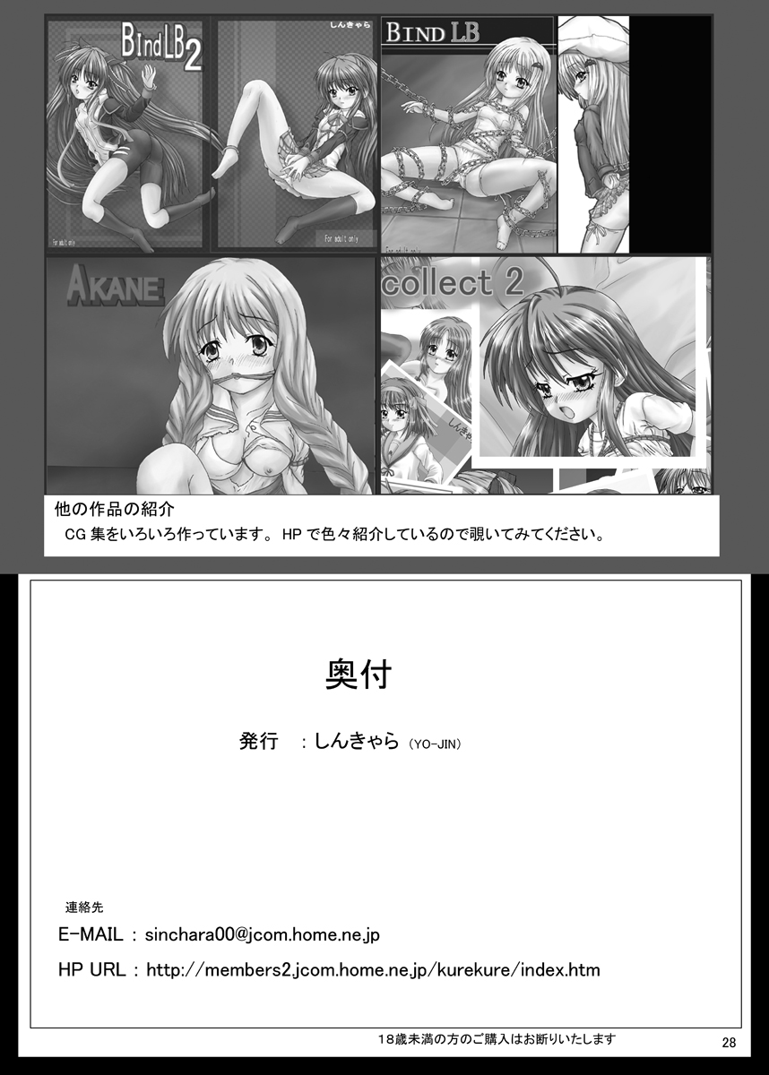 [しんきゃら (YO-JIN)] Bind AW (アクセル・ワールド) [DL版]