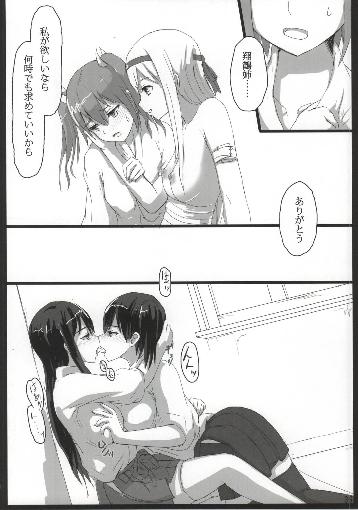 (我、夜戦に突入す!) [ifpark.com (ifpark)] 翔鶴と瑞鶴と (艦隊これくしょん -艦これ-)