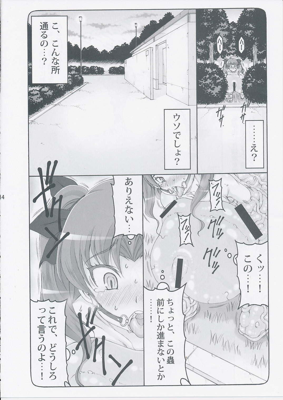 (C87) [暴れん坊天狗 (泉ゆうじろ～)] 蟲鳥 11 (Fate/stay night)