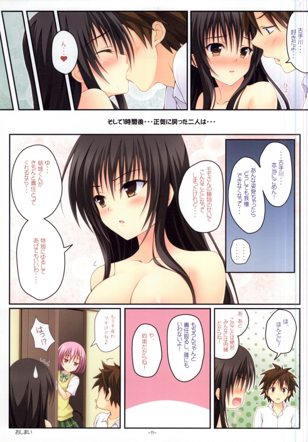 (C84) [杉屋 (すぎいつかさ)] HARENCHI YUI chan 2 (ToLOVEる -とらぶる-)