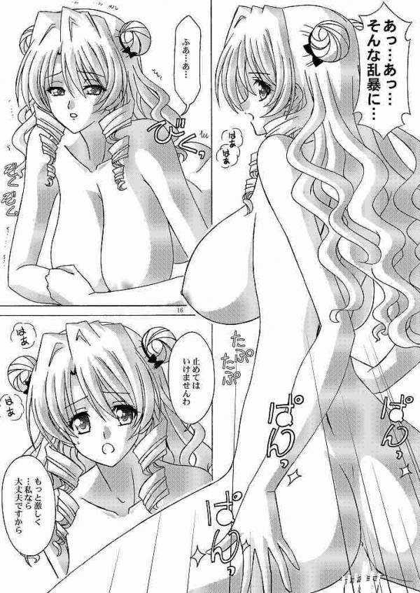 (サンクリ47) [暴走！！不発団 (高井美姫)] 沙姫様と一緒 (ToLOVEる -とらぶる-)