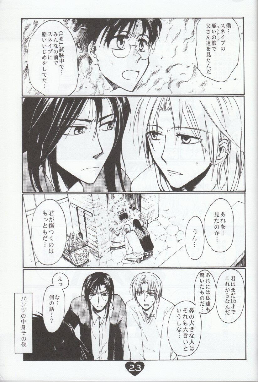 [フランダースの姉妹 (せみあらい)] 夫婦の営み (ハリーポッター)