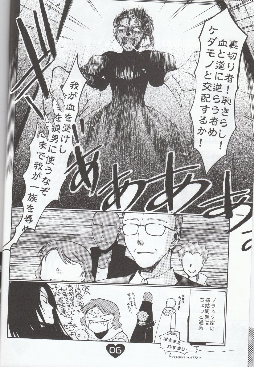 [フランダースの姉妹 (せみあらい)] 夫婦の営み (ハリーポッター)