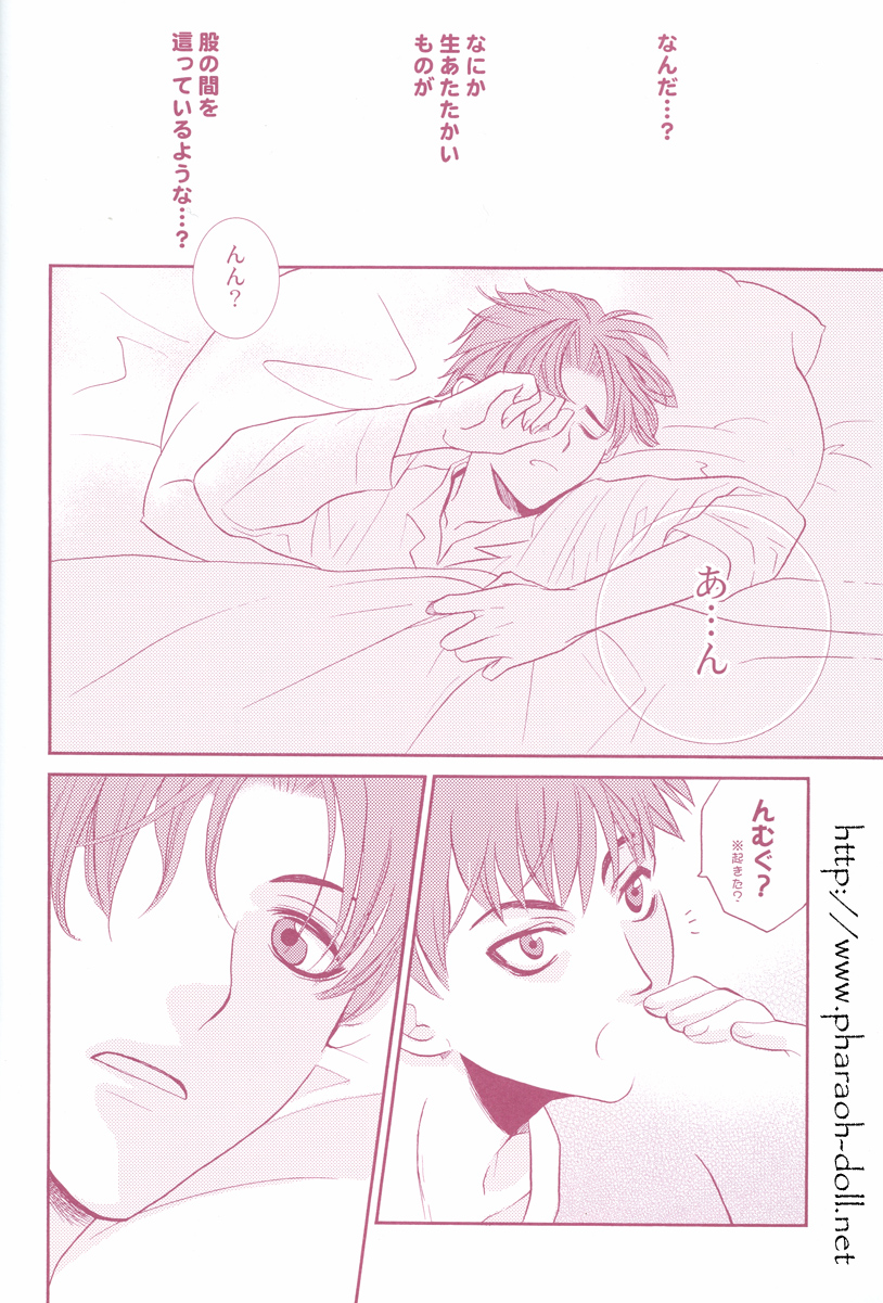 [はりぼて (穂高連)] 双子とお兄さん (ハリーポッター)