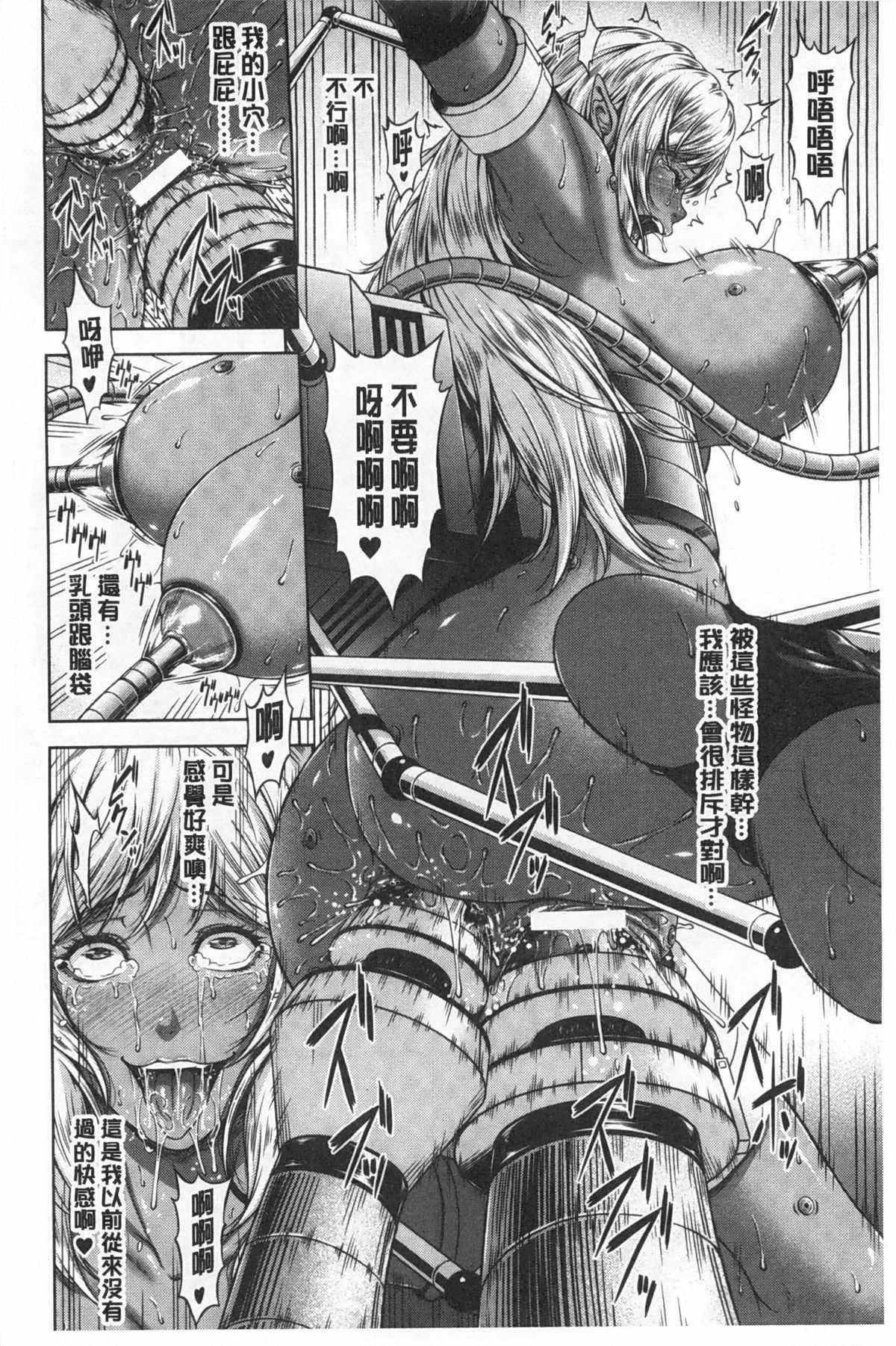 [R言] 牝花が堕ちる時 [中国翻訳]