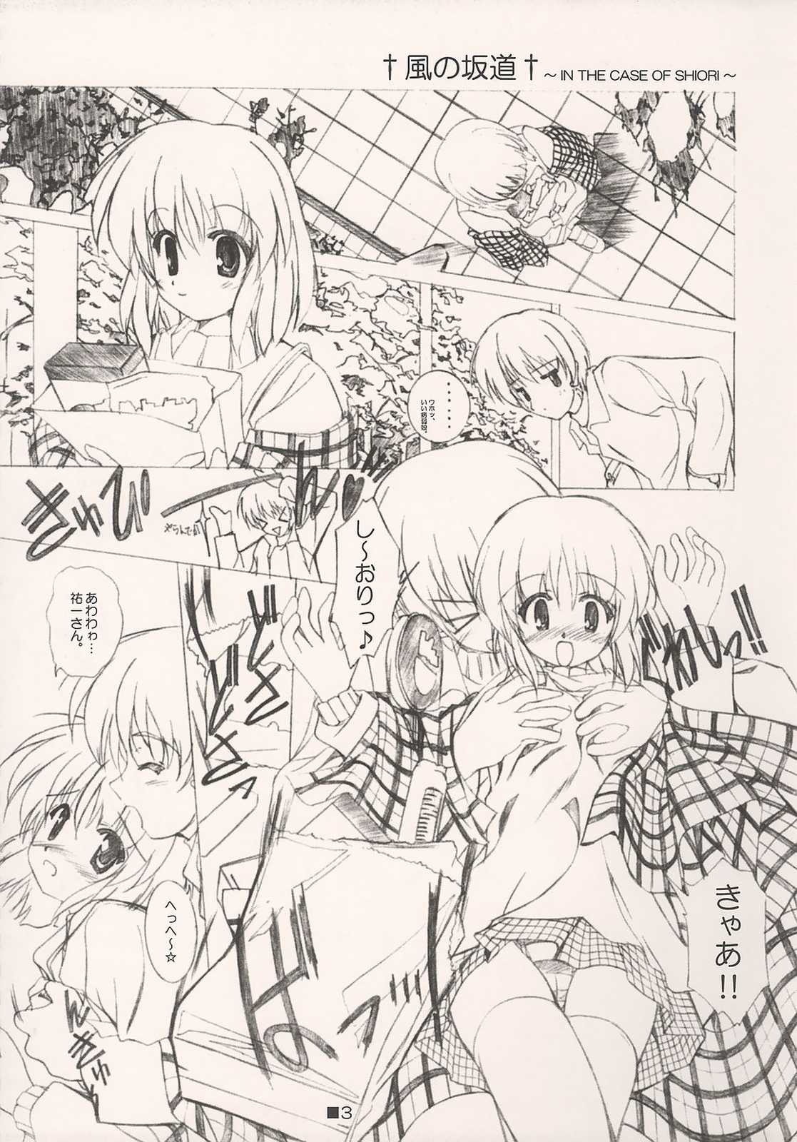 (C64) [金春流 (さえきひじり)] SELECTION AND COLLECTION 2003 IN THE CASE OF SHIORI (カノン)