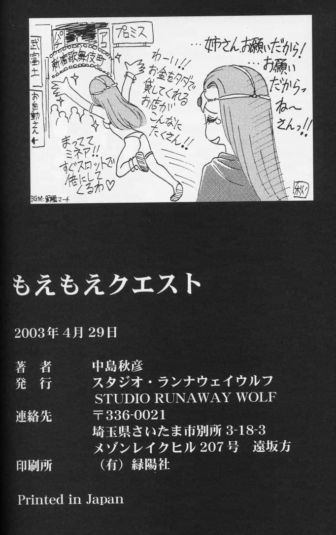 (Cレヴォ33) [STUDIO RUNAWAY WOLF (中島秋彦)] もえもえクエスト (ドラゴンクエスト)