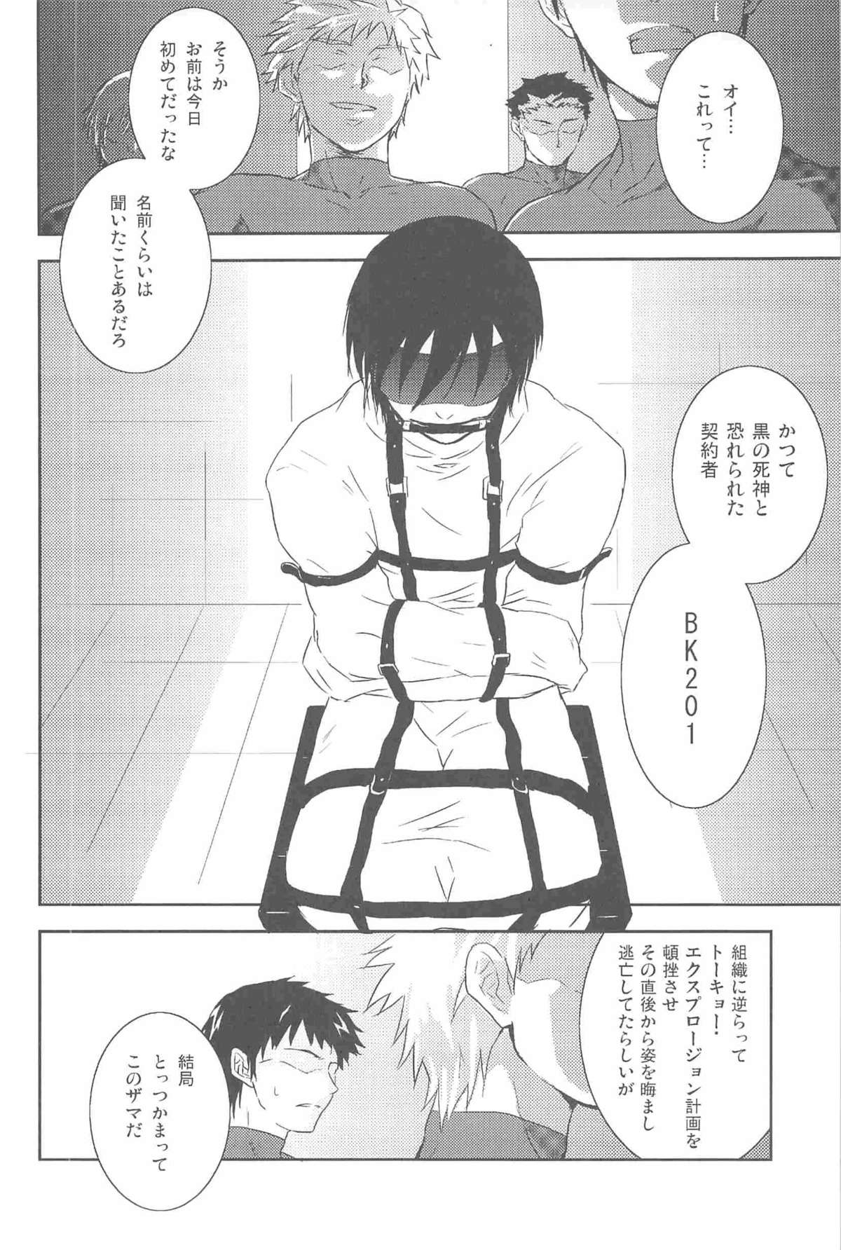 [DARKER THAN BLACK] ほしあつめ 表&裏 (mrmn)