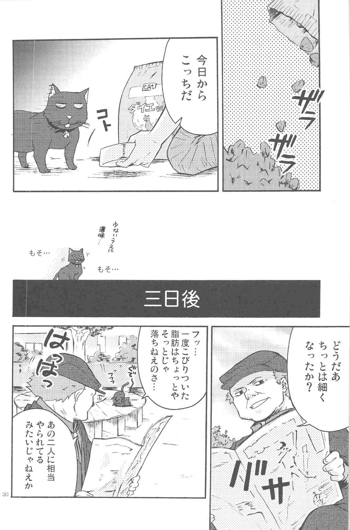 [DARKER THAN BLACK] ほしあつめ 表&裏 (mrmn)