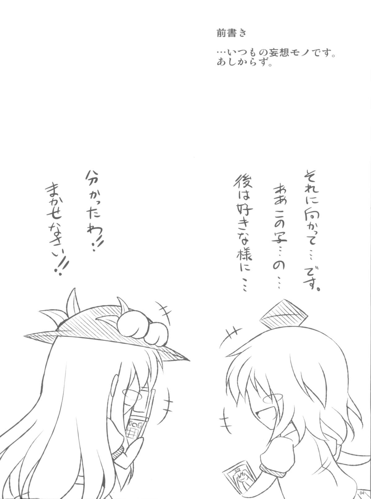 (例大祭8) [何処までも蒼い空に浮かぶ肉。 (肉そうきゅー。)] 妄想念報 (東方Project)