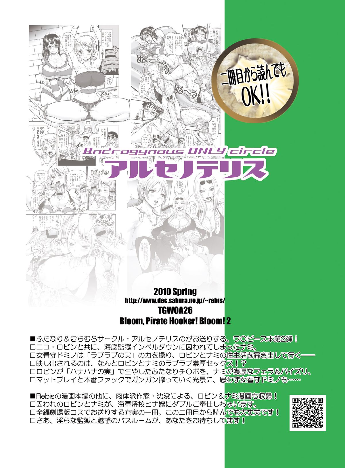[アルセノテリス (Rebis、沈没)] 乱れ咲き女囚海賊 2 -ロビンとナミのラブラブ蜜搾り編- (ワンピース) [DL版]