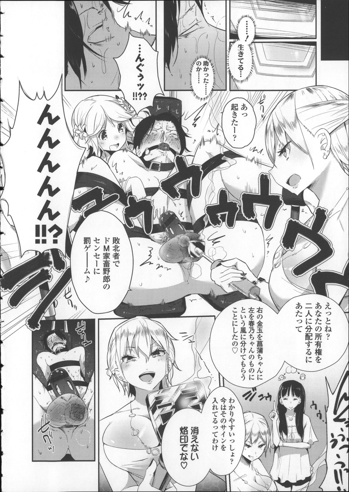 [豆] ミルク＊クラウン + 4Pリーフレット, イラストカード