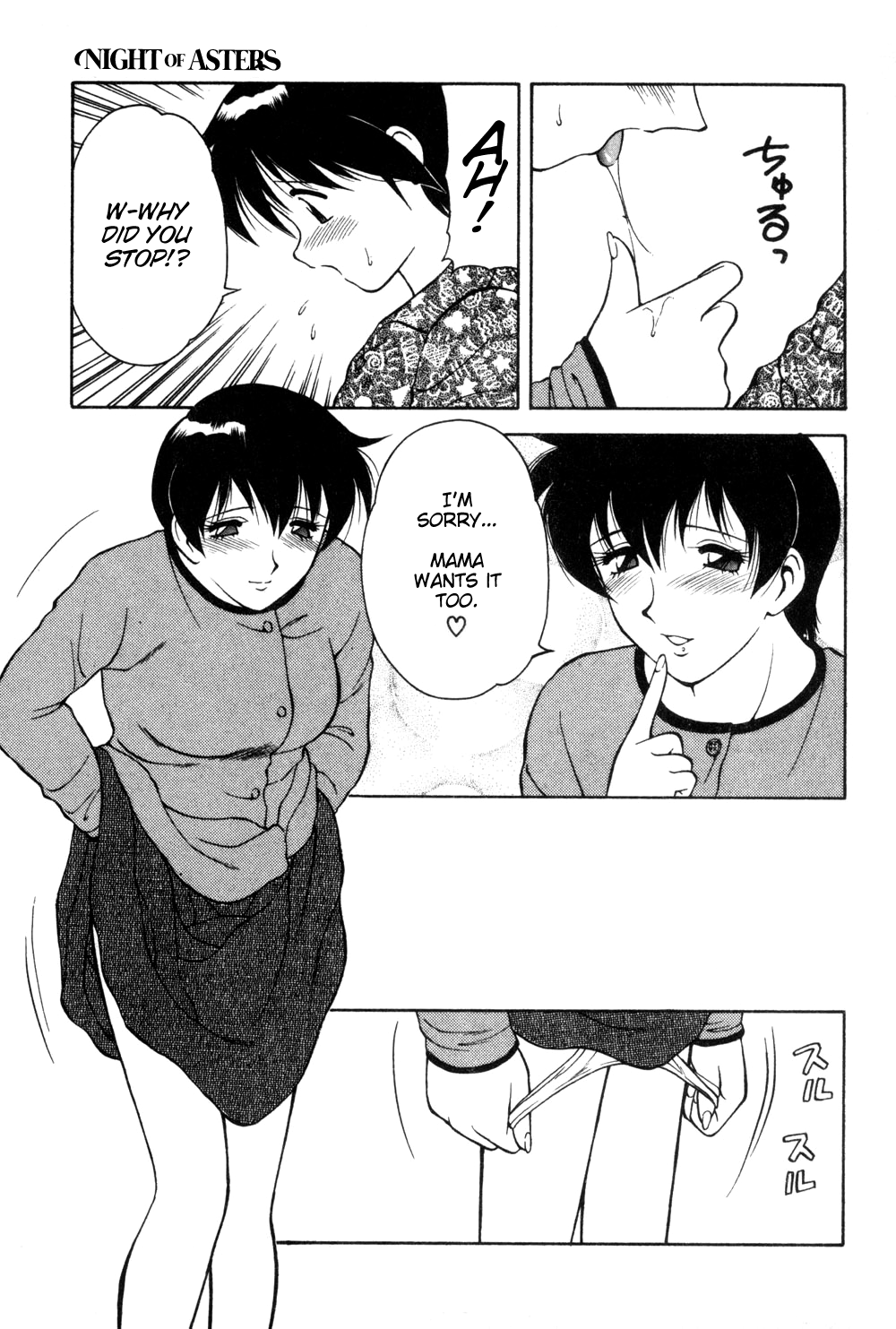 [拝狼] 紫苑の夜 愛蔵版 [英訳]