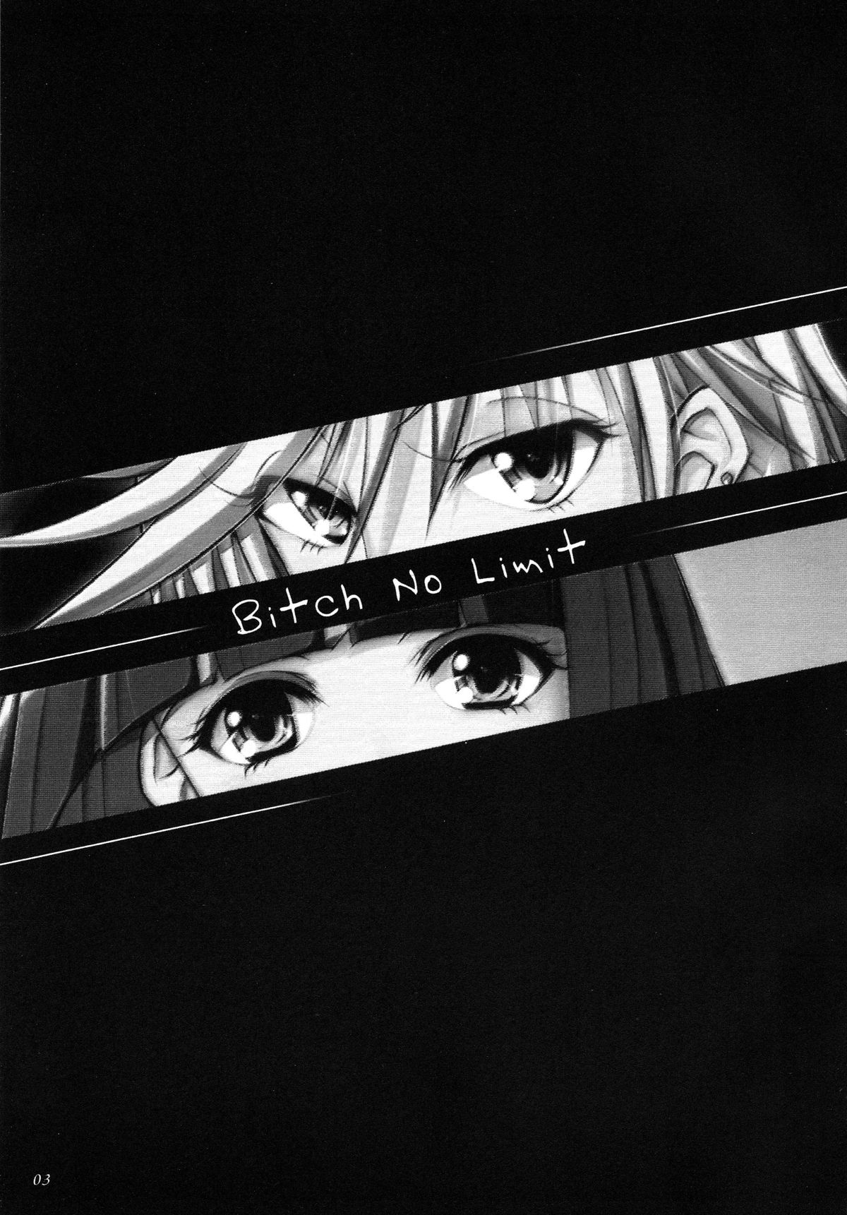 (C79) [Sound of Gungnir (わく)] Bitch No Limit (パンティ&ストッキングwithガーターベルト)