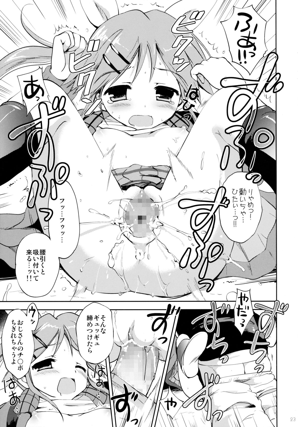 [こりすや (こりす)] LIAR GIRL