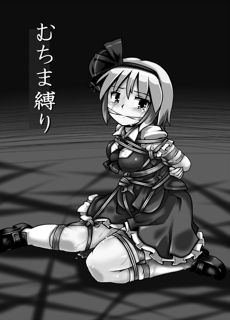 [黒りりの部屋 (lilish)] 不健全むちま縛り (東方Project) [DL版]