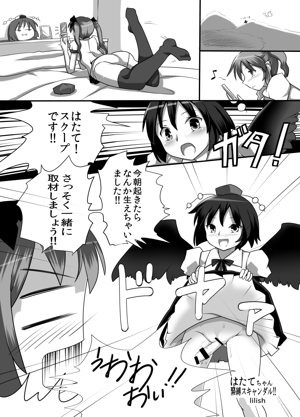 [黒りりの部屋 (lilish)] 不健全むちま縛り (東方Project) [DL版]