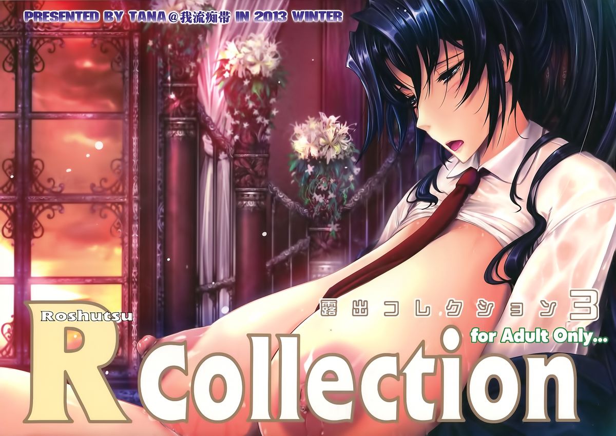 (C85) [我流痴帯 (TANA)] 露出コレクション 3