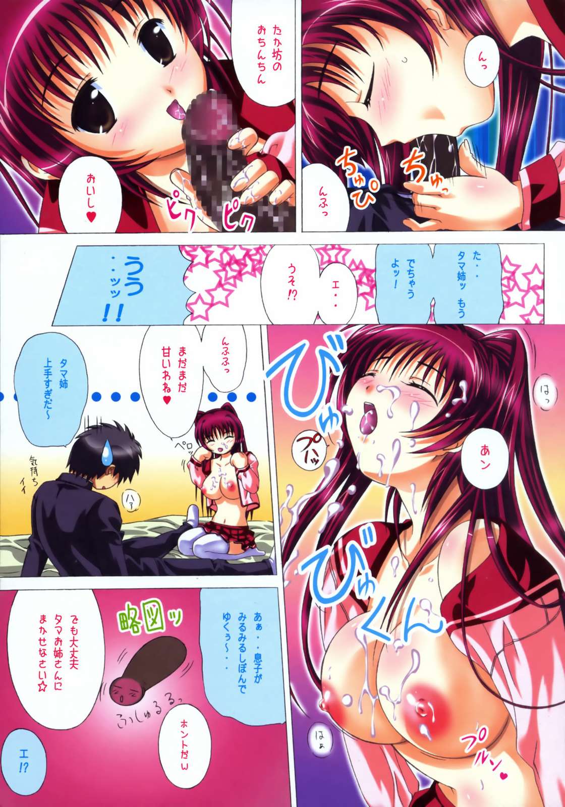 (サンクリ27) [ぐるめポッポ (毒桃)] タマノキモチ (トゥハート2)
