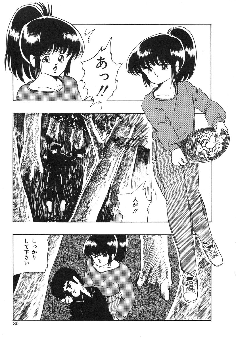 [上総志摩] マイドール