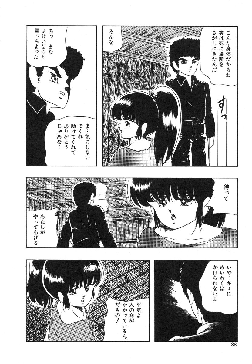 [上総志摩] マイドール