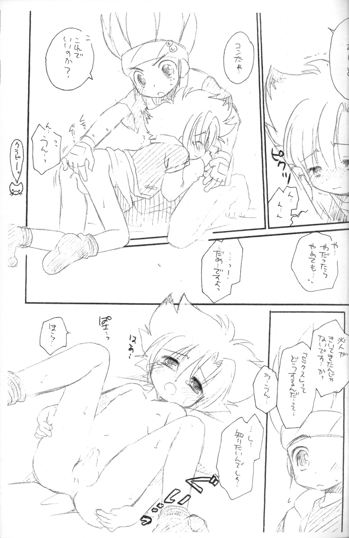 (ショタケット11) [MAD PARADOX (イコ)] どきどきどうぶつランド (ビーダマン)