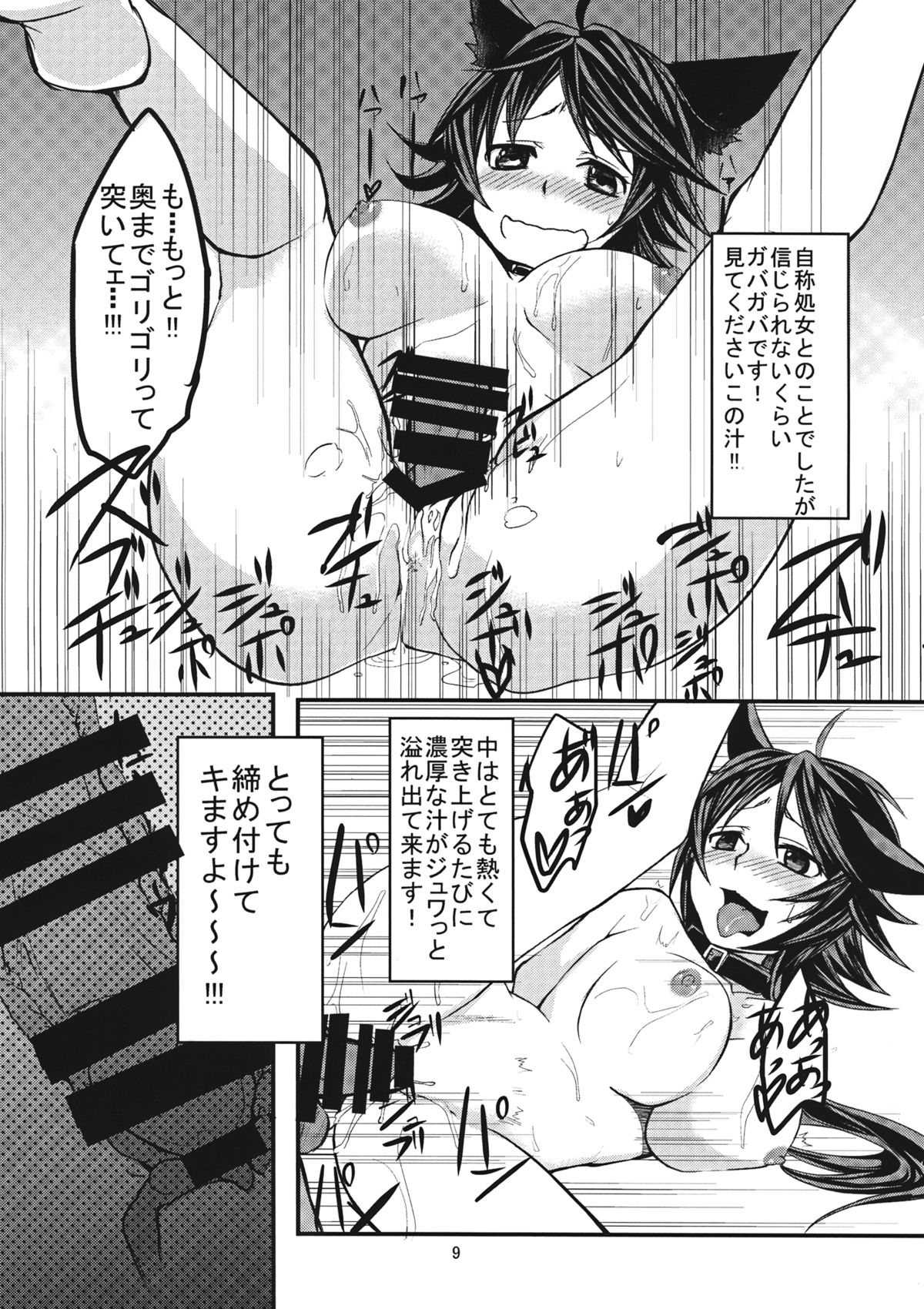 (C85) [アカイキツネ (八咲)] ニホンオオカミノカイカタ (東方Project)