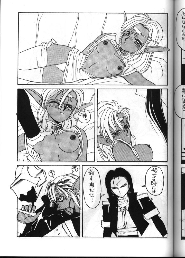 (C41) [ないとすとーかーず (Complier, SHAMP侍)] ディードが野放し2 (ロードス島戦記)