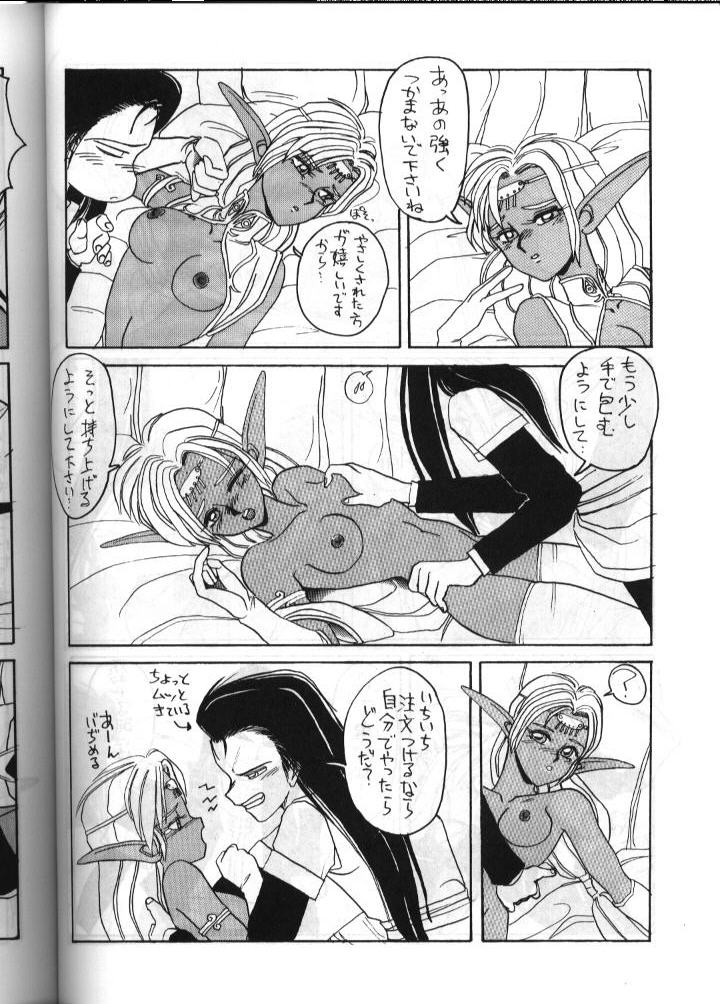 (C41) [ないとすとーかーず (Complier, SHAMP侍)] ディードが野放し2 (ロードス島戦記)