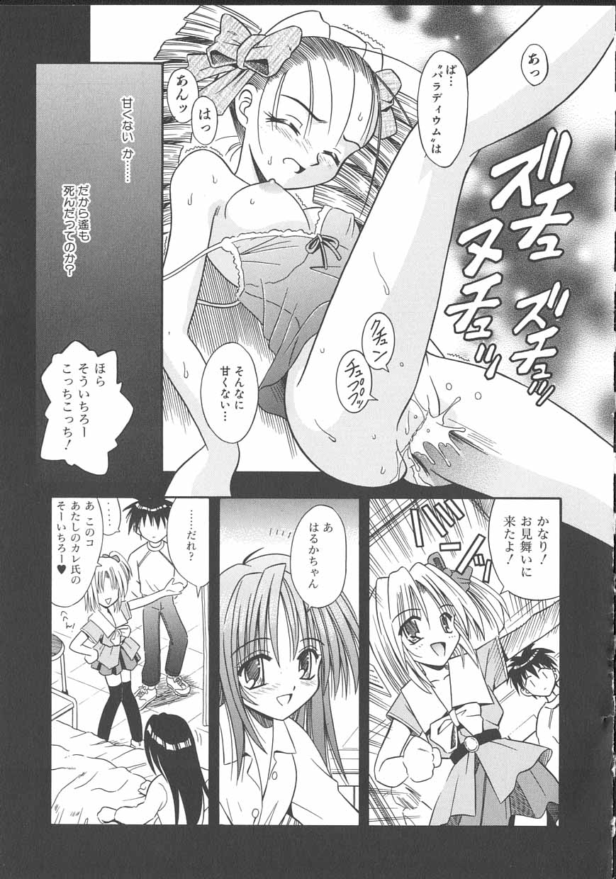 [的良みらん] PALLADIUM GARDEN
