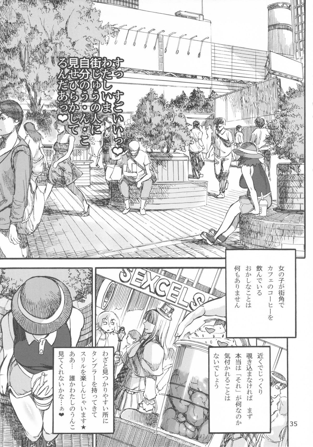 (ふたけっと9.5) [雨山電信社 (雨山電信)] 六条純子の脅迫排泄管理